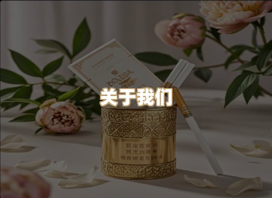关于御龙烟网